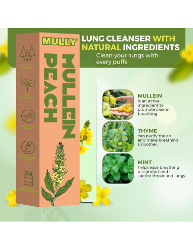 Bolígrafo Herbal Mullein Mully - Respiración Clara 32g