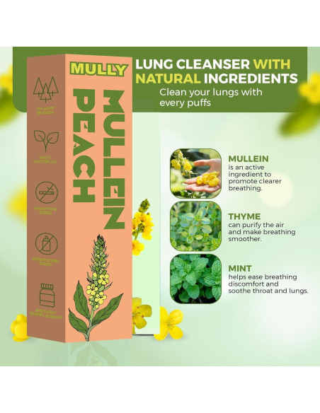 Bolígrafo Herbal Mullein Mully - Respiración Clara 32g