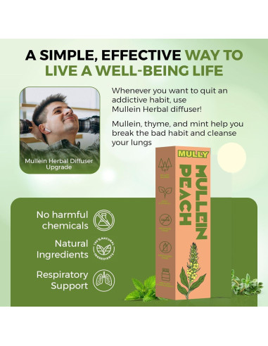 Bolígrafo Herbal Mullein Mully - Respiración Clara 32g