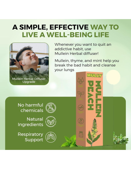 Bolígrafo Herbal Mullein Mully - Respiración Clara 32g