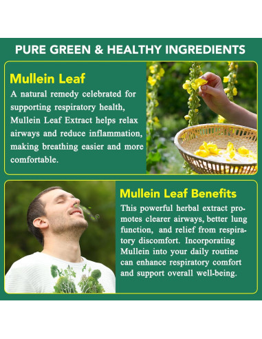 Gomas de Mullein Orgánico 60 Unidades 2000mg Salud Pulmonar