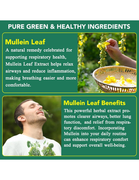 Gomas de Mullein Orgánico 60 Unidades 2000mg Salud Pulmonar