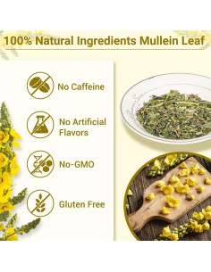 Bolsitas de Té de Mullein 100% Natural - 50 Cuentas 2