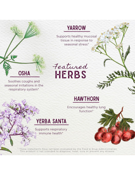 Suplemento Natural WishGarden para Pulmones 18.6g - Limpieza y Apoyo