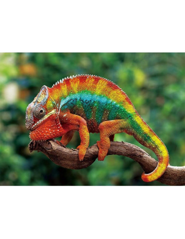 Rompecabezas 1000 Piezas MaxRenard Camaleón Pantera