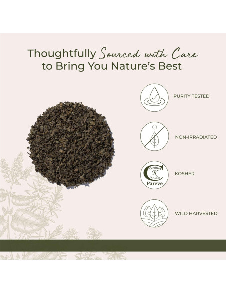 Hojas de Chaparral Silvestre Starwest Botanicals 0.45 kg