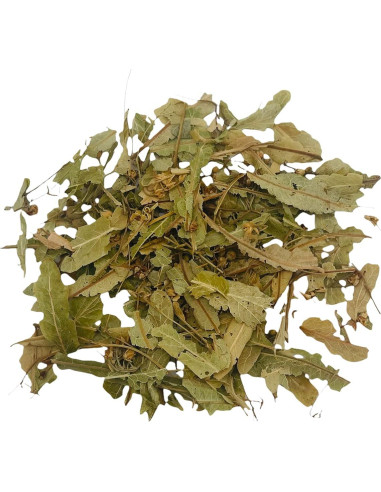 Flores y Hojas Secas de Tilo 56.7g - Solo Therapy - Té Relajante