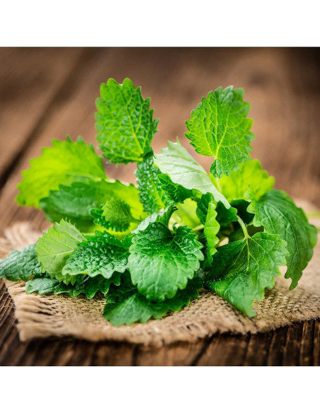 Hoja de Toronjil Orgánica Frontier Co-op 0.48kg - Té Seco