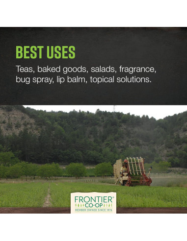 Hoja de Toronjil Orgánica Frontier Co-op 0.48kg - Té Seco