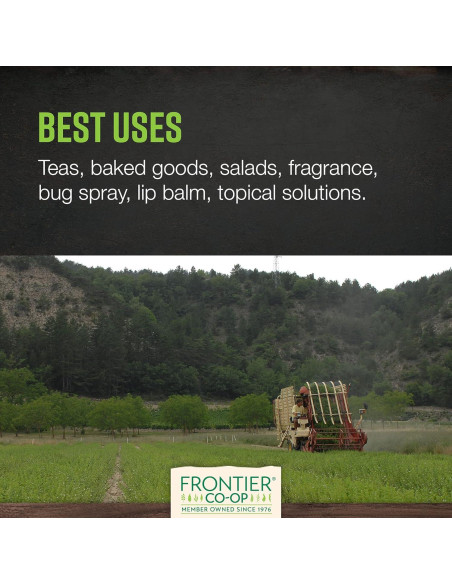 Hoja de Toronjil Orgánica Frontier Co-op 0.48kg - Té Seco