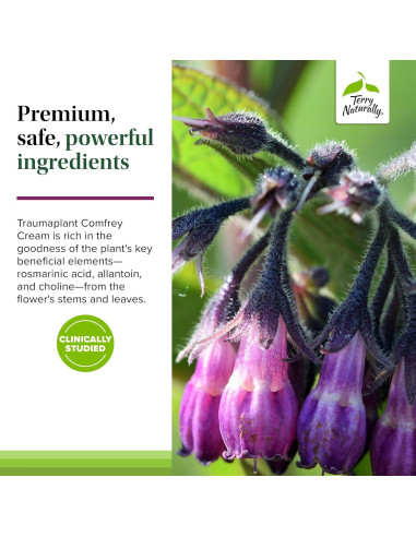Crema de Consuelda Traumaplant Terry Naturally 50 g - Herbal No Manchante