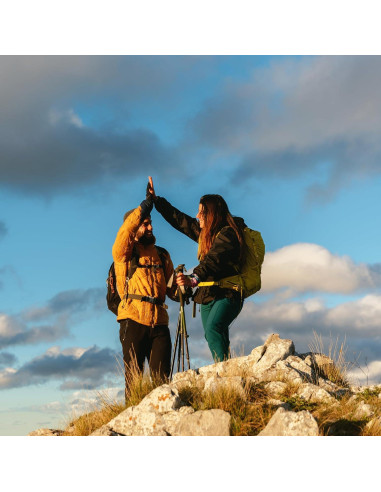 Cápsulas de Cola de Caballo Elementos de la Tierra 200 Unidades