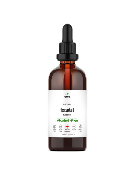 Tintura de Cola de Caballo Herbity 50 mL - Suplemento Vegano Tintura de Cola de Caballo Herbity 50 mL - Suplemento Vegano
