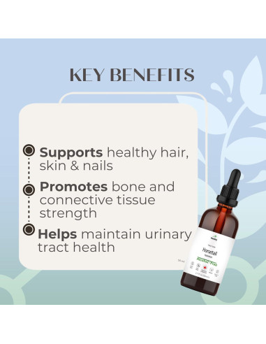 Tintura de Cola de Caballo Herbity 50 mL - Suplemento Vegano