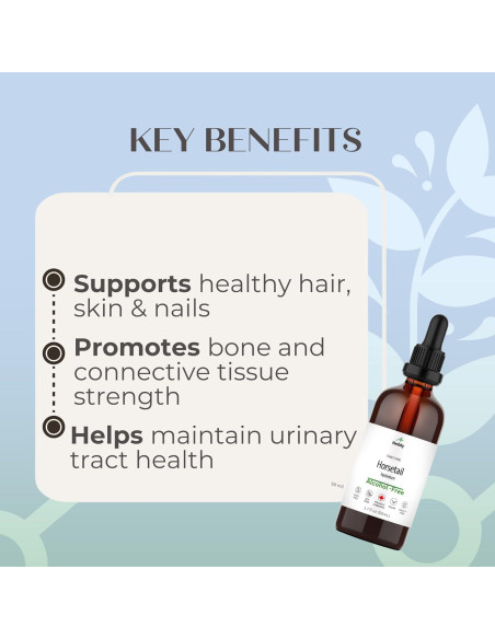 Tintura de Cola de Caballo Herbity 50 mL - Suplemento Vegano Tintura de Cola de Caballo Herbity 50 mL - Suplemento Vegano