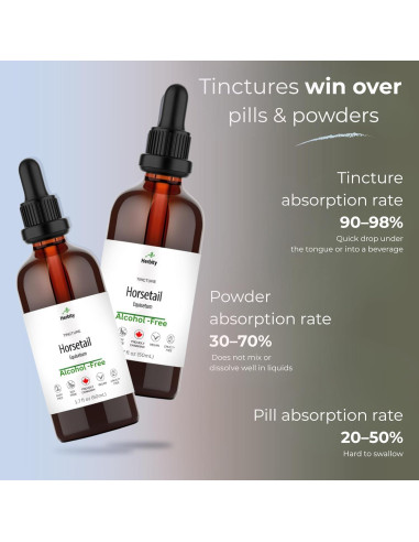 Tintura de Cola de Caballo Herbity 50 mL - Suplemento Vegano