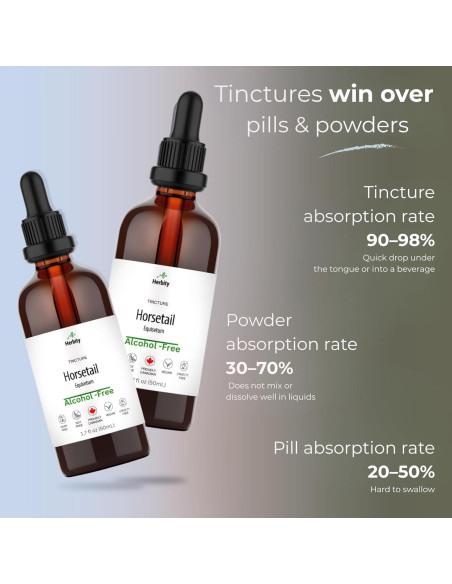 Tintura de Cola de Caballo Herbity 50 mL - Suplemento Vegano Tintura de Cola de Caballo Herbity 50 mL - Suplemento Vegano