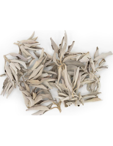 Salvia Blanca 100% Pura Worldwide Botanicals 227g Hoja Entera