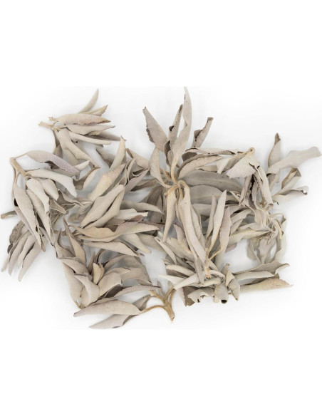 Salvia Blanca 100% Pura Worldwide Botanicals 227g Hoja Entera