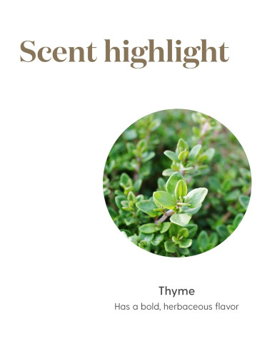 Aceite Esencial Culinario Joven Vida Tomillo 5ml - 100% Puro