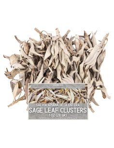 Incienso de Clúster de Salvia Blanca Premium Yerbero 28g