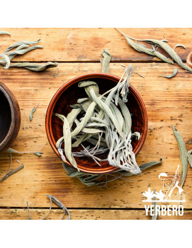 Incienso de Clúster de Salvia Blanca Premium Yerbero 28g