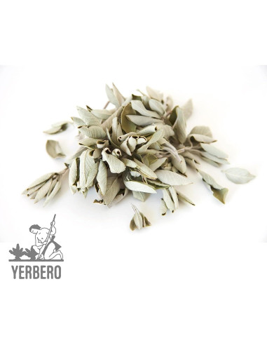Incienso de Clúster de Salvia Blanca Premium Yerbero 28g