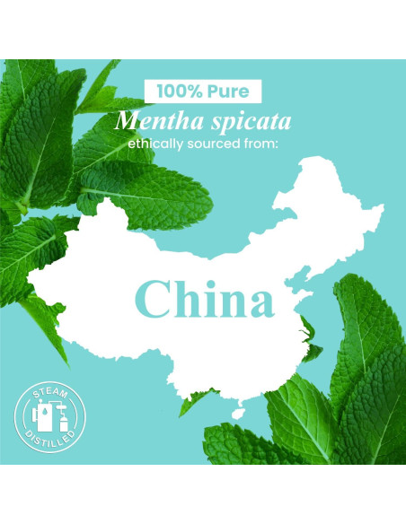 Aceite Esencial de Menta Verde Handcraft Blends 118 ml 100% Puro Aceite Esencial de Menta Verde Handcraft Blends 118 ml 100% Puro