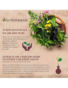 Polvo de Corteza de Raíz de Bayberry 450 g Mejor Botánicos 2