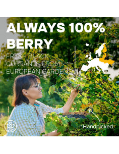 Polvo de Grosella Negra Orgánico Jungle Powders 141.75g 2