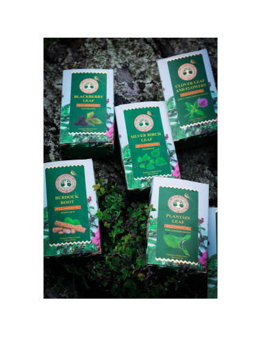 Té de Hoja de Plátano Siberiano Tesoro Siberiano 100g