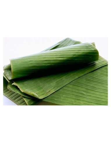 Hojas de Plátano Frescas 0.91 kg - TastePadThai