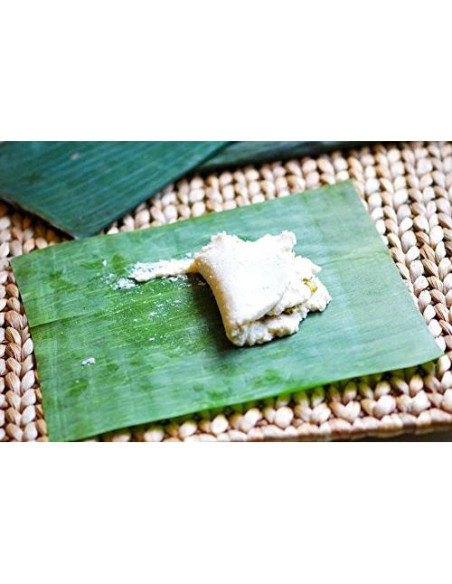 Hojas de Plátano Frescas 0.91 kg - TastePadThai