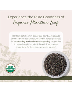 Hoja de Plátano Orgánica Starwest Botanicals 113 g - Té Herbal Suelto 2