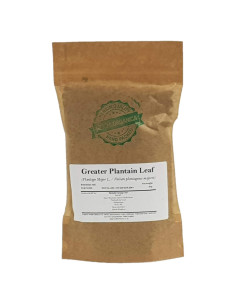 Té Herbal Hoja de Plátano Mayor Orgánica 50g - Shender Group