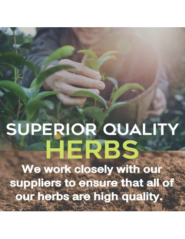 Té de Cuasia Quassia 113g - Hierba Mexicana Natural