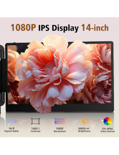 Extensor de Pantalla ROYY 14" FHD USB-C HDMI Portátil 2