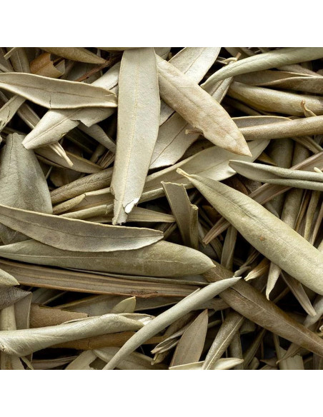 Hojas de Olivo Orgánicas Enteras Frontier Co-op 454g - Kosher