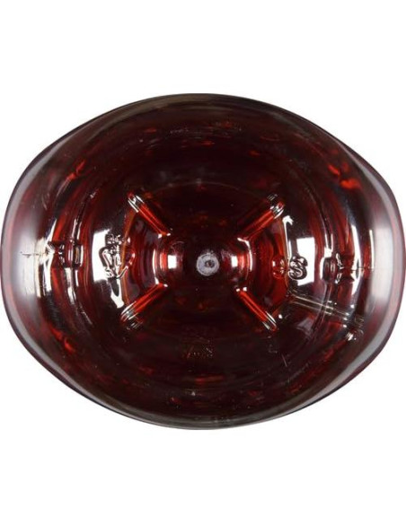 Endulzante de Agave Azul Orgánico Saludable 667 g