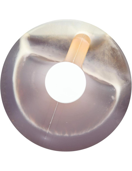 Edulcorante Orgánico de Agave Azul Wholesome 5L - Sin Gluten