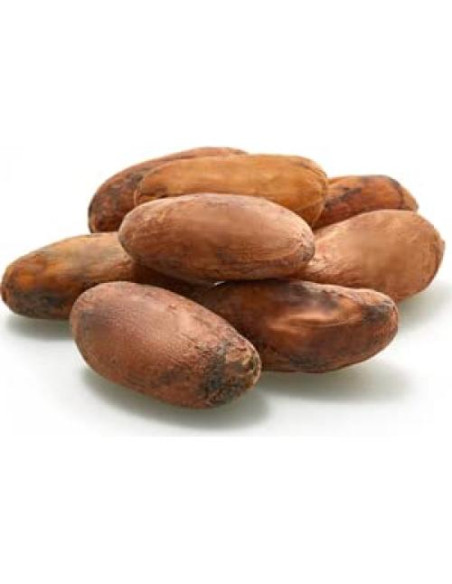 Frijoles de Cacao Crudo Orgánico Yupik 1 kg Vegano Sin Gluten