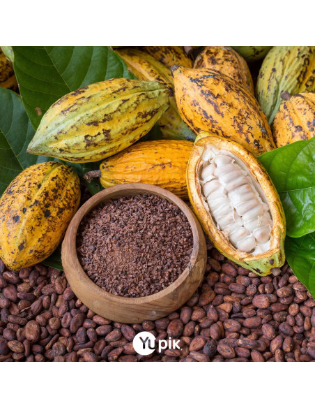 Frijoles de Cacao Crudo Orgánico Yupik 1 kg Vegano Sin Gluten