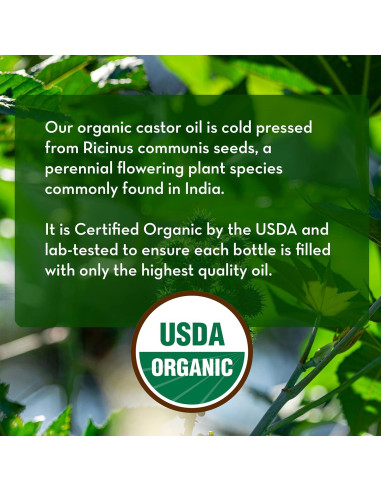 Aceite de Ricino Orgánico Pure Body Naturals 29.57 ml - Crecimiento Pestañas y Cejas