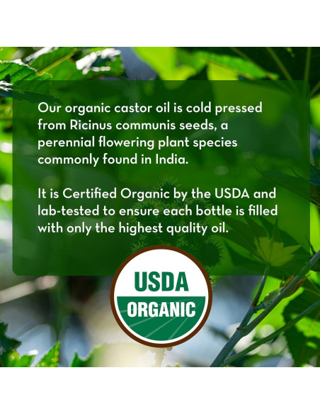 Aceite de Ricino Orgánico Pure Body Naturals 29.57 ml - Crecimiento Pestañas y Cejas