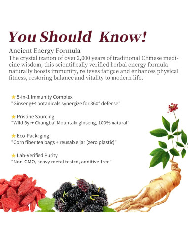 Té Herbal DOZO Ginseng Cinco Tesoros 250g - 25 Bolsas