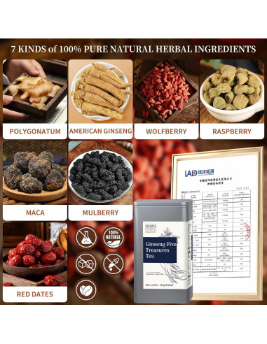Té Herbal DOZO Ginseng Cinco Tesoros 250g - 25 Bolsas