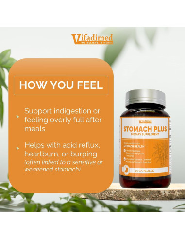Stomach Plus Vifadimed - Suplemento Herbal 45 Cápsulas