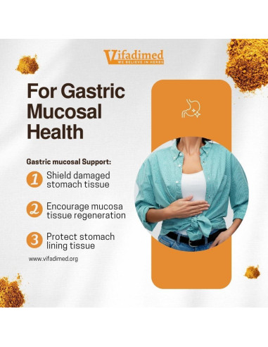 Stomach Plus Vifadimed - Suplemento Herbal 45 Cápsulas
