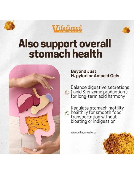 Stomach Plus Vifadimed - Suplemento Herbal 45 Cápsulas