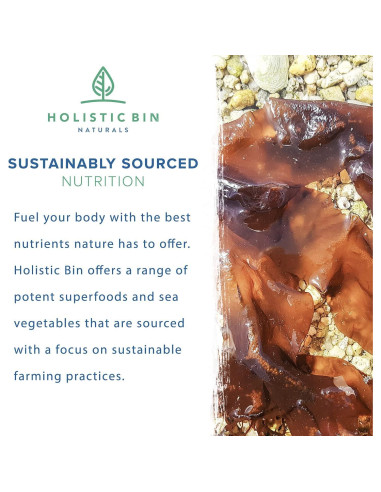 Copos de Alga Dulse Orgánica Holistic Bin 50g - Sazonador Umami